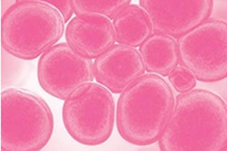 Scanning af molekyler